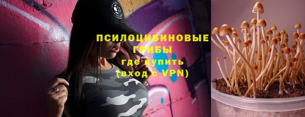 соль ск Михайлов