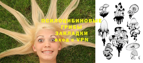 Альфа ПВП Навашино