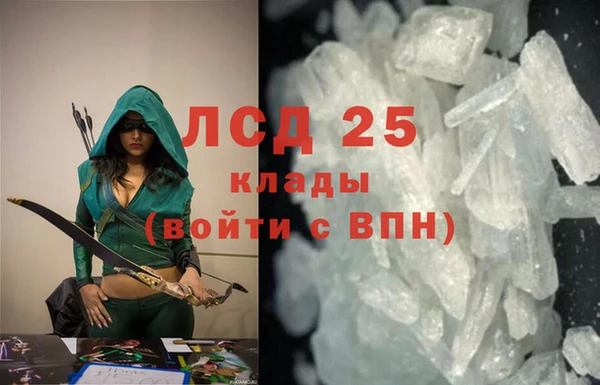 шишки Нея