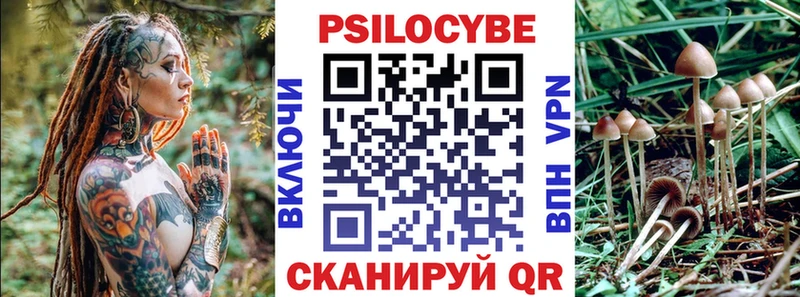 кракен зеркало купить цена Томмот Галлюциногенные грибы MAGIC MUSHROOMS